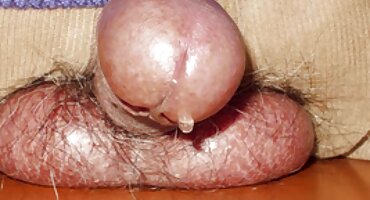 Linda Bela morena acaricia sua buceta brasileirinhas videos gratis de perto