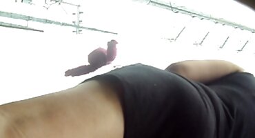 Ajudantes do Papai Noel fizeram uma as brasileirinhas vídeo de pornô orgia anal dura