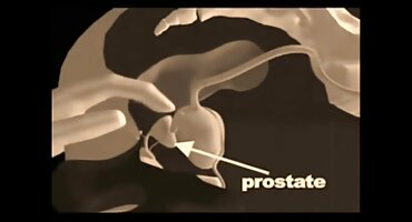 Sexo grupal filme de sexo da brasileirinha Tcheco. A garçonete pede que todos a beijem com força