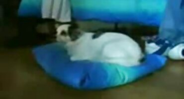 Ele veio para São Petersburgo, beijou Isadora, 48, na bunda e ficou lá para filme pornô da brasileirinhas morar.